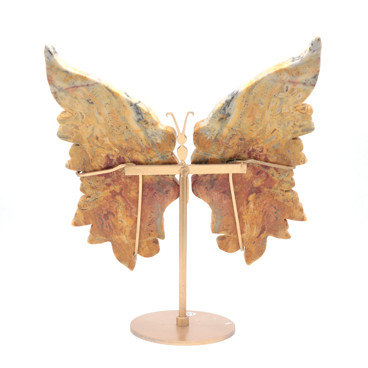 Natural Crazy Lace Agate Crystal Butterfly wings Quartz Healing + stand 1pc