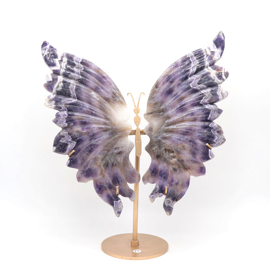 crystal Butterfly wings