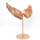 Natural Crazy Lace Agate Angel wings Quartz Healing + stand 1pc