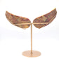 Natural Crazy Lace Agate Angel wings Quartz Healing + stand 1pc